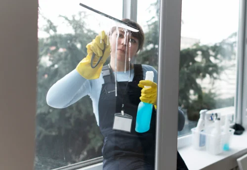 Nettoyage de vitres intérieures et extérieures à Ansignan